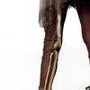 Thumb 8